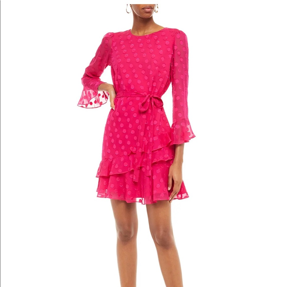 Saloni Marissa ruffled fil coupé mini dress US6